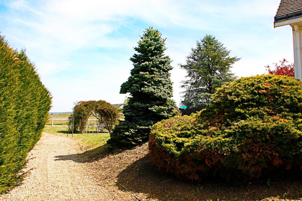 La Veuzaine Bed & Breakfast Onzain Exterior photo